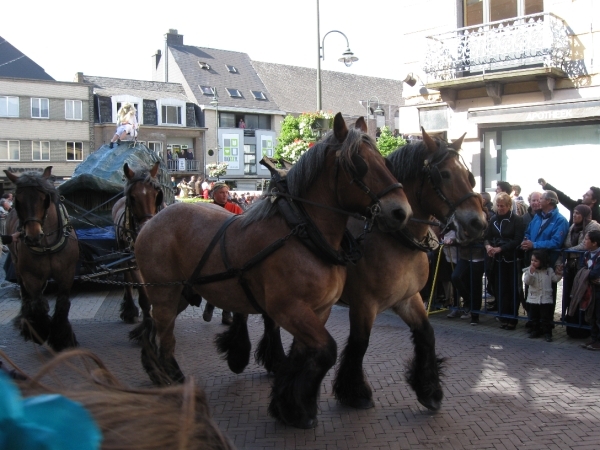 Dendermonde Ros Beiaard ommegang '01 255