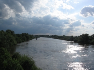 Dendermonde Ros Beiaard ommegang '01 301