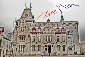 DSC_7567_bewerkt-1kopie