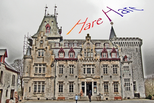 DSC_7567_bewerkt-1kopie