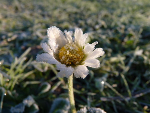 P1040668