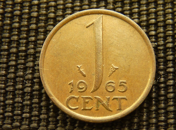 P1050029