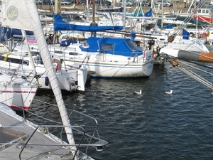 De samaki terug in het water