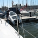 Te waterlating van de kleine samaki