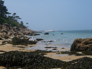 P1020456
