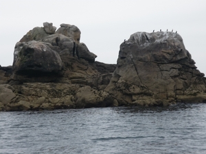 P1020470