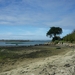 P1020475