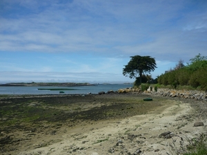 P1020475