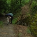 Cantal auvergne (27)