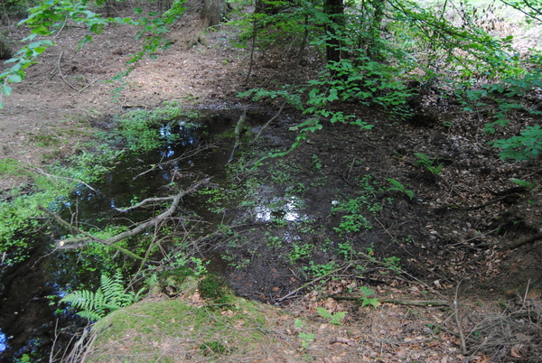 Bron van de Mchenant Fontaine