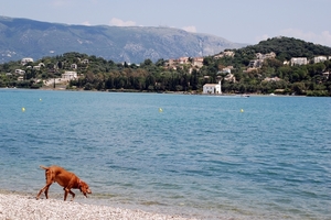 199 Kerkyra - wandeling Kontokali haven en ventiaanse ruines