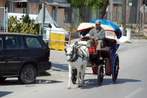 408 Kerkyra - paardenkoets