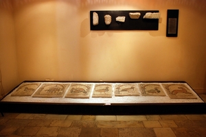 482 Kerkyra - archeologisch museum