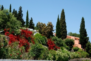 741  Benitses bloemenpracht
