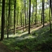 20090501-_DSC4883