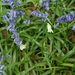 20090501-_DSC4910