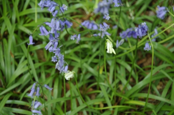 20090501-_DSC4912
