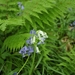 20090501-_DSC4916