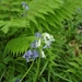 20090501-_DSC4917