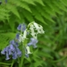 20090501-_DSC4920