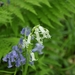 20090501-_DSC4921