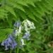 20090501-_DSC4922