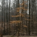 20090301-_DSC2669