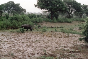 P1000272