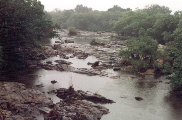 P1000285