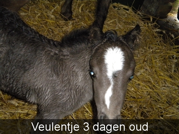 Uitstap Beernem