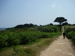 prachtige natuur