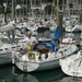 jachthaven La Trinite