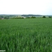 2010_06_06 Biesmere 14