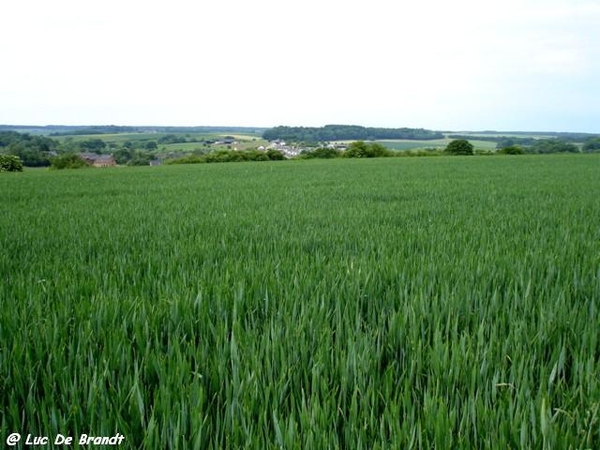 Ardennen wandeling Adeps Biesmeree
