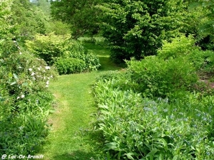 2010_06_06 Biesmere 27