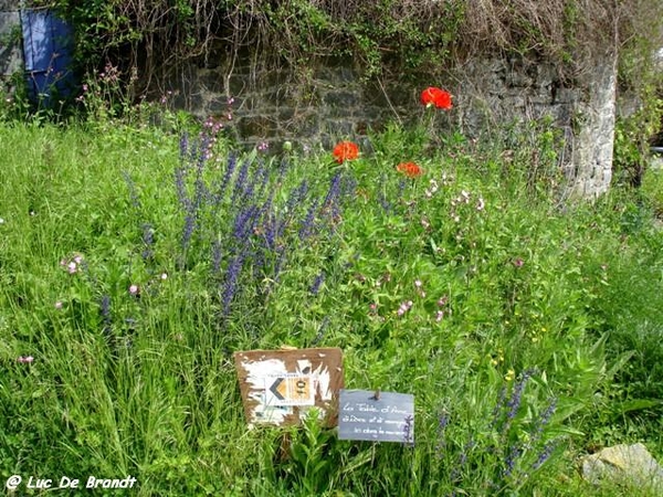 Ardennen wandeling Adeps Biesmeree