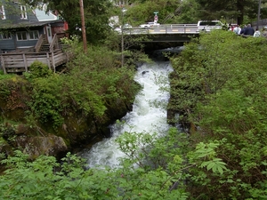 ALASKA cruise Ketchikan (21)