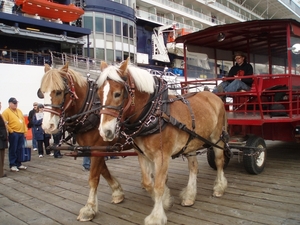 ALASKA cruise Ketchikan (74)