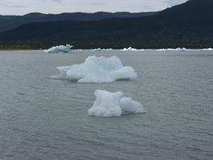 ALASKA cruise Juneau (55)