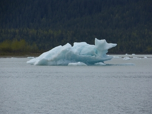 ALASKA cruise Juneau (56)