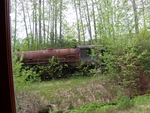 ALASKAcruise Skagway (21)