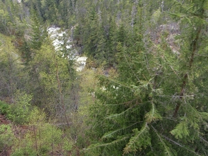 ALASKAcruise Skagway (30)