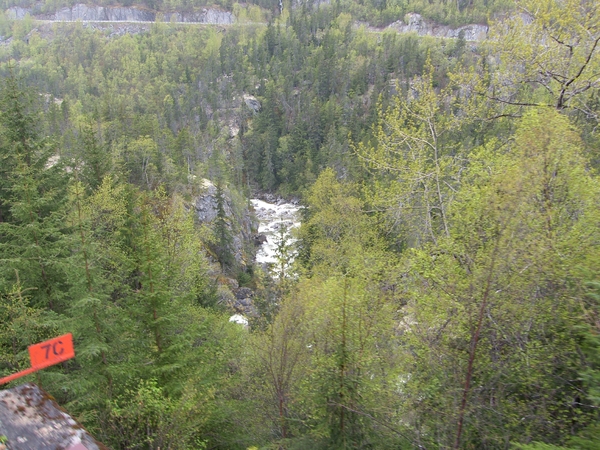 ALASKAcruise Skagway (31)