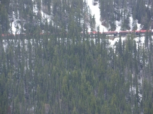 ALASKAcruise Skagway (39)