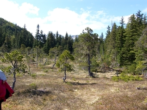 ALASKAcruise Icy Strait Point (22)