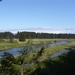 ALASKAcruise Icy Strait Point (27)