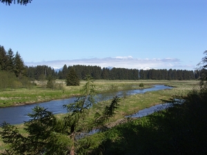 ALASKAcruise Icy Strait Point (27)