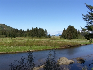 ALASKAcruise Icy Strait Point (29)