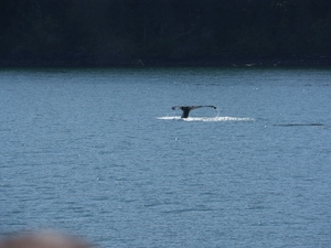 ALASKAcruise Icy Strait Point (47)