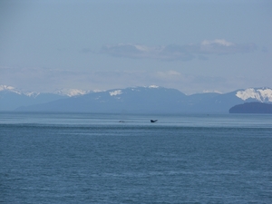 ALASKAcruise Icy Strait Point (58)